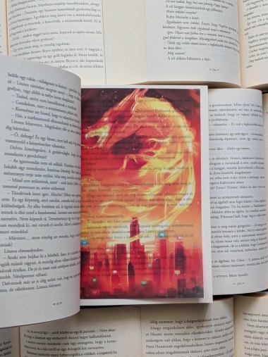 A sárkány szívében (Különleges éldekorált kiadás!)