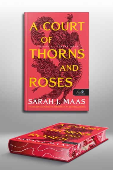 A Court of Thorns and Roses – Tüskék és rózsák udvara (Tüskék és rózsák udvara 1.)