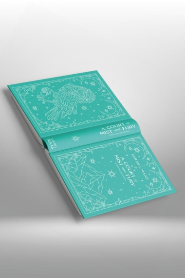 A Court of Mist and Fury - Köd és harag udvara (Tüskék és rózsák udvara 2.)