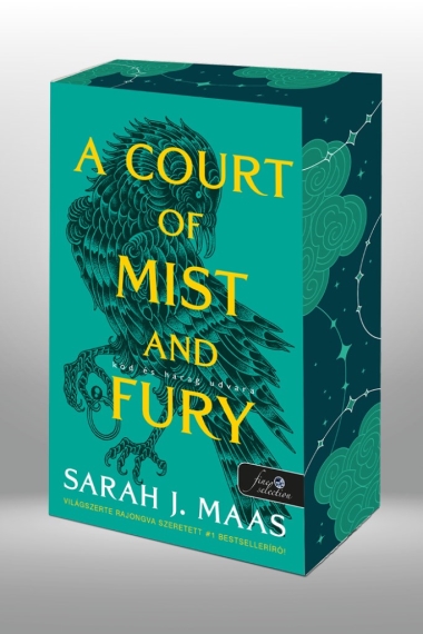 A Court of Mist and Fury - Köd és harag udvara (Tüskék és rózsák udvara 2.)