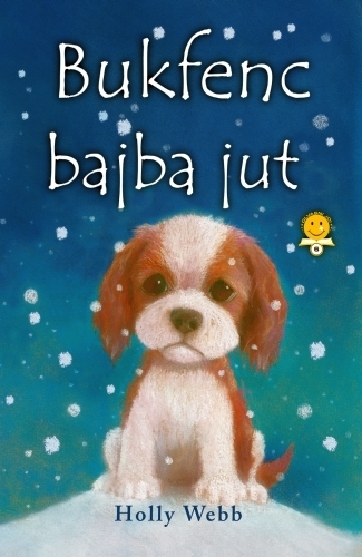 Bukfenc bajba jut