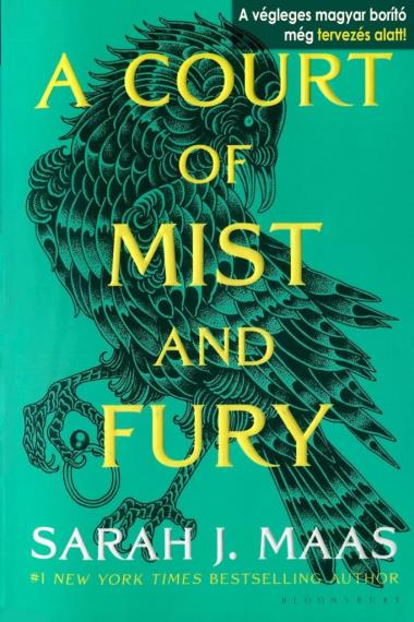 A Court of Mist and Fury - Köd és harag udvara (Tüskék és rózsák udvara 2.)