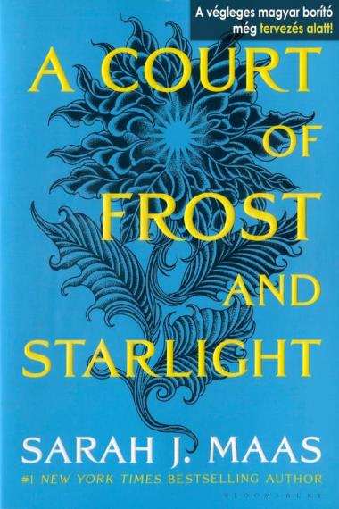 A Court of Frost and Starlight – Fagy és csillagfény udvara (Tüskék és rózsák udvara 4.)