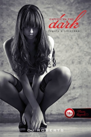 Captive in the Dark – Fogoly a sötétben (A sötét páros 1.)