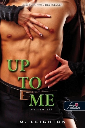 Up to Me – Rajtam áll (Rossz fiúk 2.)