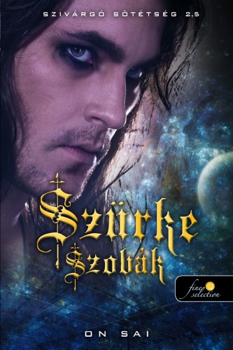 Szürke szobák (Szivárgó sötétség sorozat 2,5)