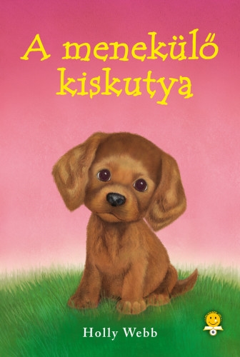 A menekülő kiskutya
