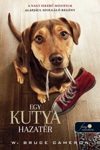 Egy kutya hazatér (Egy kutya hazatér 1.)